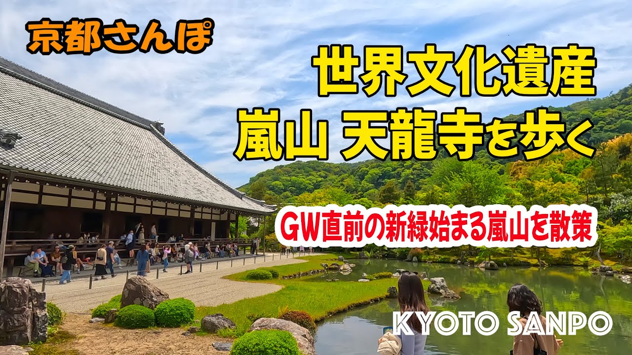 [京都お散歩4K] 2023/4/28 GW直前に新緑始まる嵐山を歩く 世界文化遺産『天龍寺』を見入る 新緑さんぽ kyoto