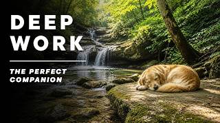 Natural Water for Deep Work | Your Companion Stays by Your Side
