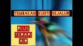 TEMBAKAN KUNTI SEJALUR,kowul nembak kunti,masteran suara kuntilanak untuk pleci ,kenari , cendet dll