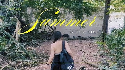 Mùa hè ở trong rừng | Đi thăm vườn quốc gia Nam Cát Tiên | Lần đầu thử đu dây qua thác Ba Giọt |⛰️☀️