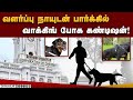 சென்னை மாநகராட்சி விதித்த கட்டுப்பாடுகள் என்ன?|Pet dogs|Chennai corporation parks | Restrictions