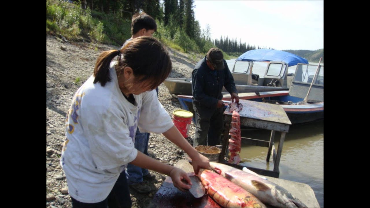 The Fishing and Hunting on the Koyukuk River by Bill YouTube