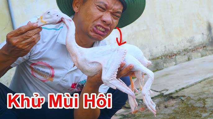 Cách Khử Mùi Hôi Vịt Luộc Hiệu Quả, Đơn Giản Tại Nhà