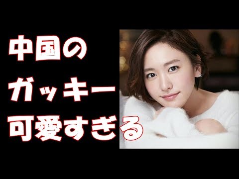中国のガッキーこと栗子が死ぬほど可愛すぎて辛い