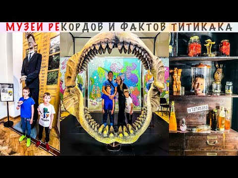 МУЗЕЙ ТИТИКАКА. МУЗЕЙ РЕКОРДОВ И ФАКТОВ. ИНТЕРЕСНЫЕ МЕСТА С ДЕТЬМИ В СПБ