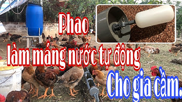 Làm màn nước uống tự động cho gà vịt ngan nhất định cần tới phao này.