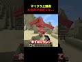 マイクラ上級者、ただのアホだった... #マイクラ