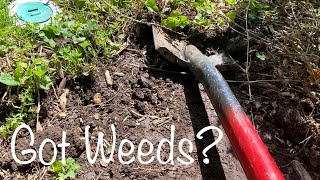 Got WEEDS? DO THIS 100% Natural Method!