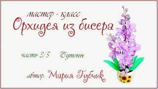 МК орхидея из бисера ч 3/5 бутоны МК орхидея из бисера ч 3/5 бутоны