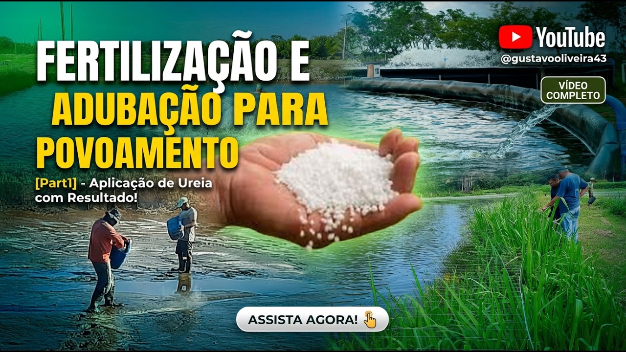 Fertilização e adubação para povoamento [Part1]  - Aplicação de ureia