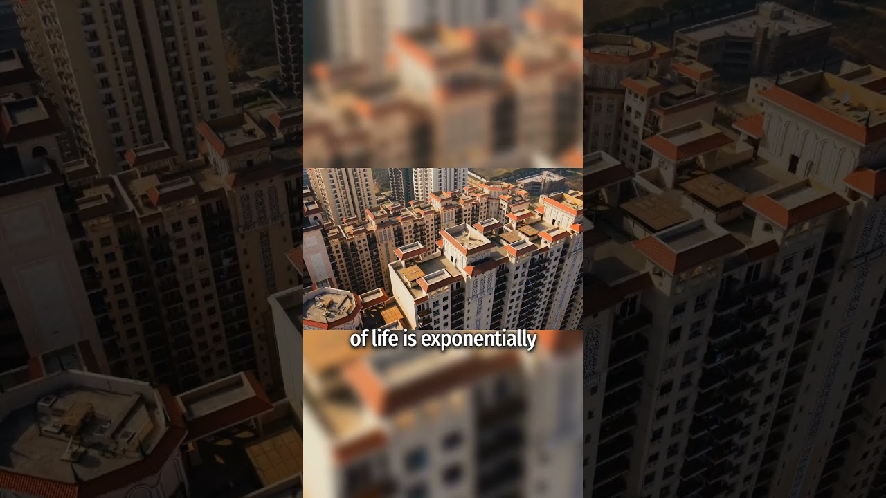 Why Americans Abroad Don’t Rely on Traditional Career Paths