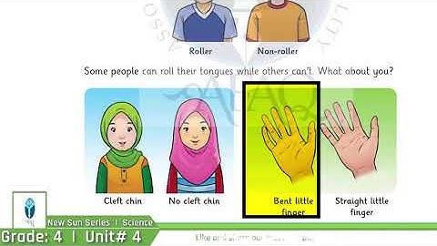 NSS Grade 04 Science Chapter 04