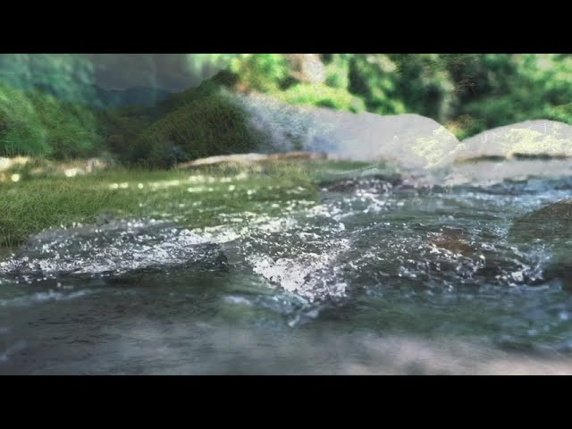 ≪楽曲提供≫岐阜市西郷地区の歌と曲を提供しました。