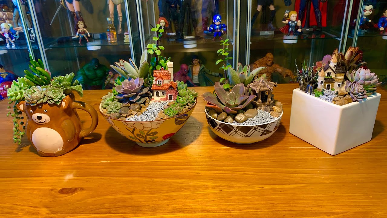 4 Cute Succulent Arrangements