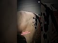 aggressive fatehjhanghi bulls demand 30lac  Mela lag Gaya Bakra Eid 2k26