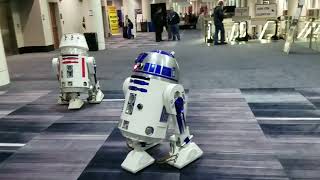 R2-D2 and R5-D4