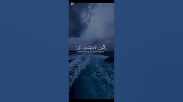 آيات من القران الكريم القارئ محمد اللحدان #اكسبلور #المصحف #لايك #الرحمن #راحة_نفسيةلايك