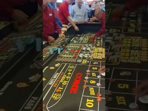 We Flew In a Blackjack Expert To Help Us Win in Vegas!