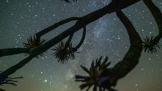 Dome Fire - Milky Way Time-Lapse in Mojave National Preserve