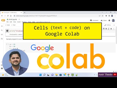 Understanding cells (text
