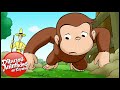 Jorge el Curioso en Español 🐵 Ardilla por un Día 🐵 Mono Jorge 🐵 Caricaturas para Niños