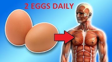 What Happens to Your Body When You Eat 2 Eggs Every Day