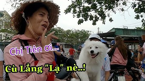 🔴 Cát Thy "Cà Khịa" Chú Giáng Tiên "Quặm" Cù Lẳng Độc Lạ Cười Banh Quán