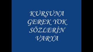 KURŞUNA GEREK YOK - SERKAN KURNAZ Resimi