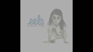 Eels_Not Ready Yet (Karaoke)