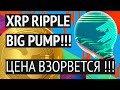 Ripple to the moon? Технический анализ XRP