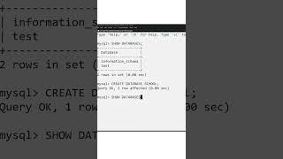 SQL Basics Class 11 & 12 IP and 12 CS #sql #class12 #class11ip