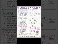 2nd puc biology, sexual reproduction in flowering plants(whorls of flowers)
