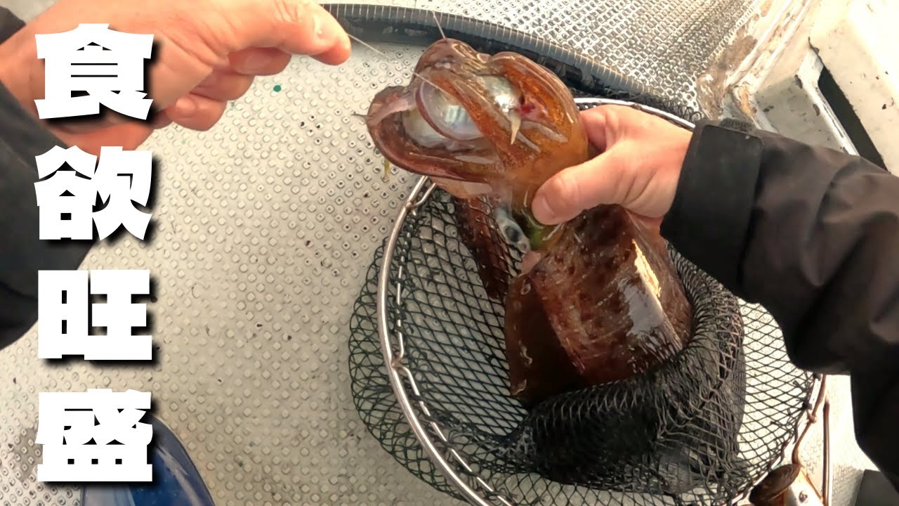 モンスター降臨　船アオリ仕掛け