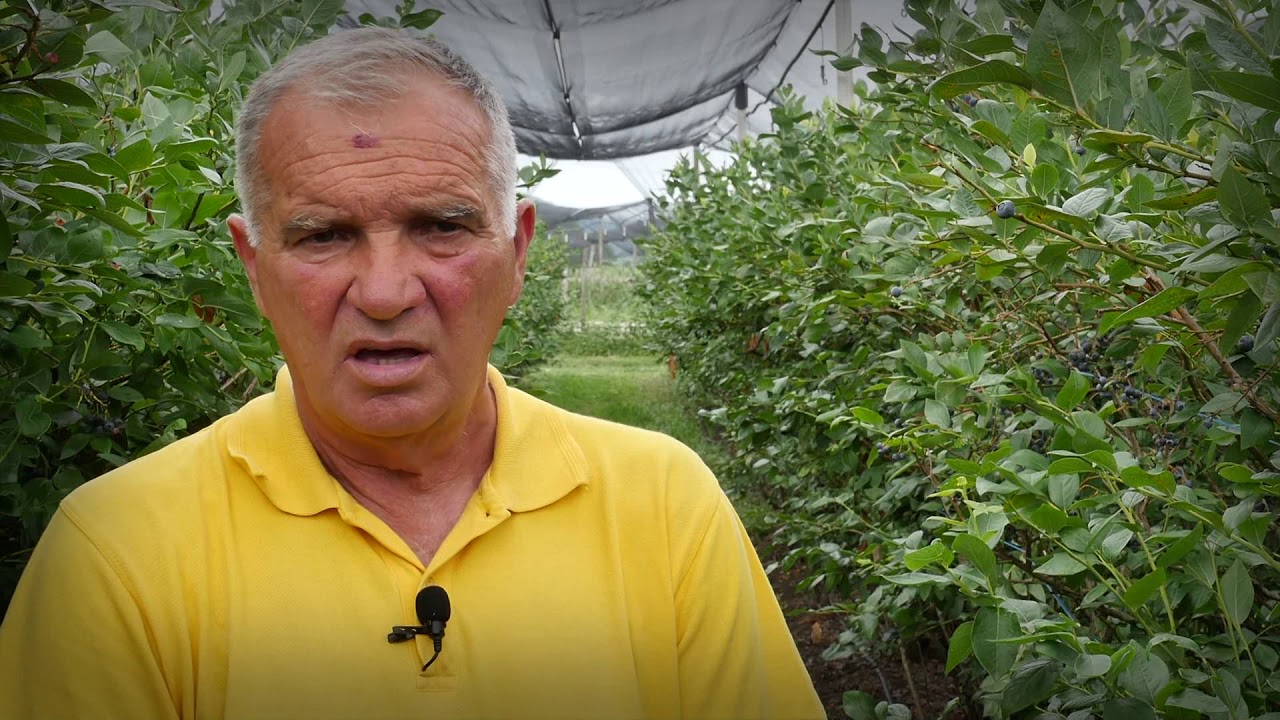 Naša priča ep. 207 08.08.2019. Borovnica, Stupčevići, Arilje