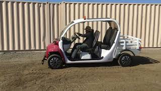 POLARIS GEM E4 For Sale