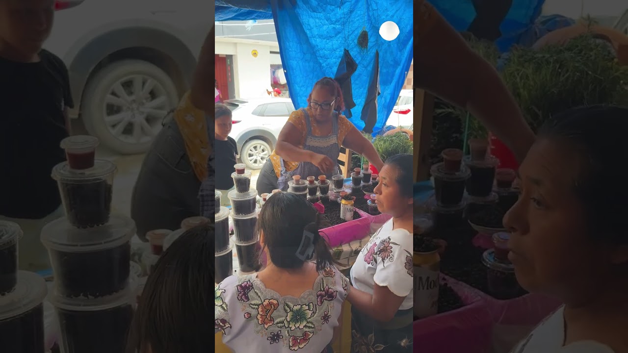 Tuxtla celebra el regreso de la temporada de Nucú