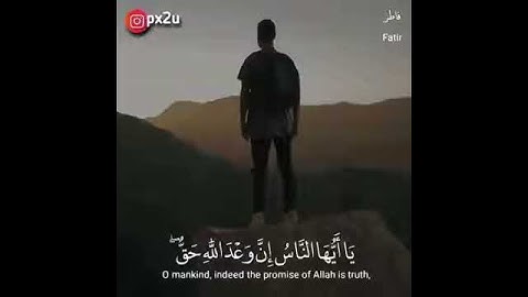 #تلاوات #ماهر_المعيقلي #ياسر_الدوسري #ناصر_القطامي #السديس #خالد_الغامدي(14)