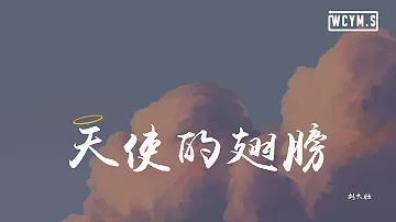 刘大壮 - 天使的翅膀「相信你还在这里从不曾离去，我的爱像天使守护你」【動態歌詞/Lyrics Video】