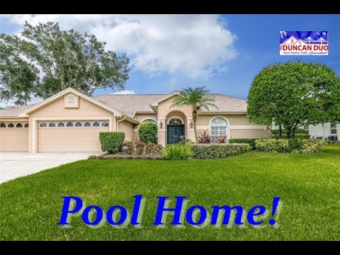 16107 BELLE MEADE BLVD, Odessa, FL home video tour