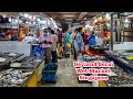 The biggest wet market in Singapore, Geylang Serai Market tour