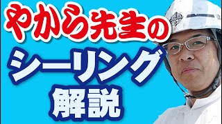 面台シーリングって何？特殊な職種の職人が雨漏れで大切な工事解説します！