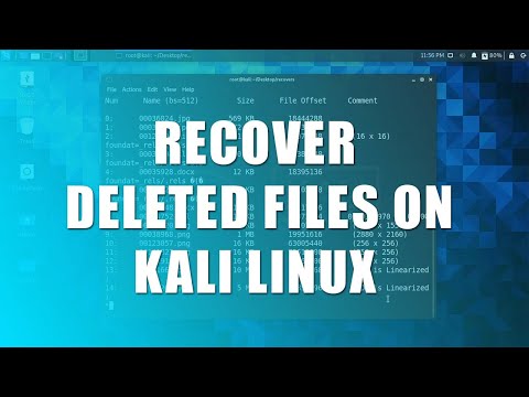 How to Recover Deleted Files in Kali Linux 2024.1?