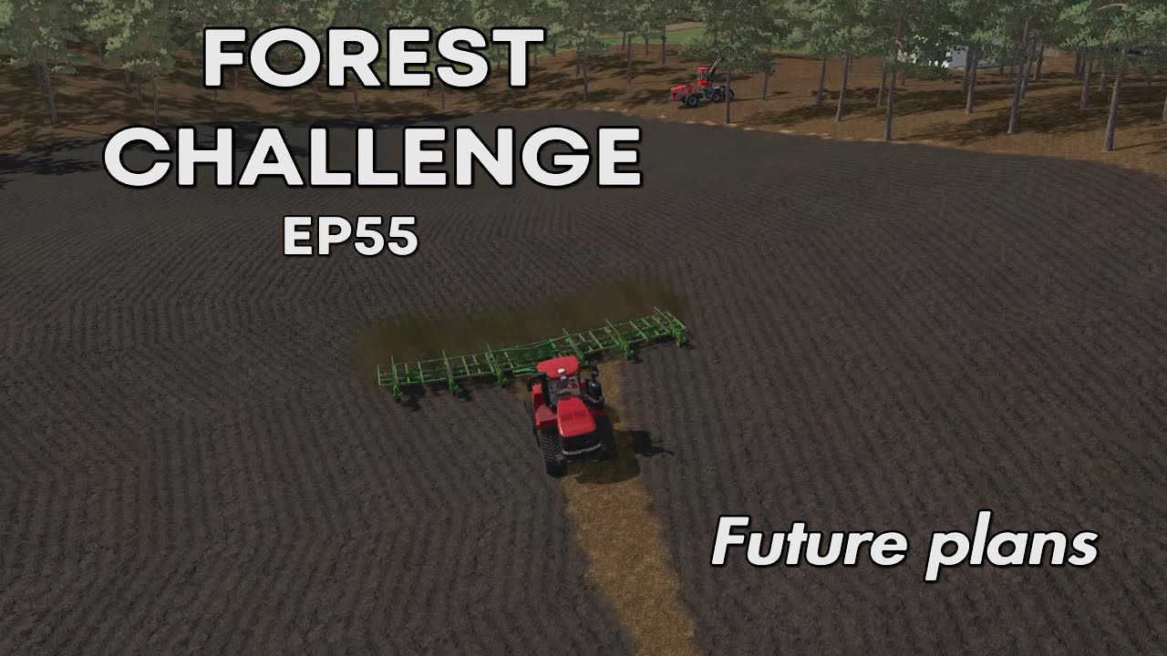 Forest challenge ep55 - Future Plans