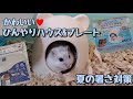 ハムスターひんやりセラミックハウス&涼感アルミプレート☆しらたま夏の暑さ対策♪