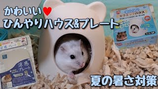 ハムスターひんやりセラミックハウス&涼感アルミプレート☆しらたま夏の暑さ対策♪