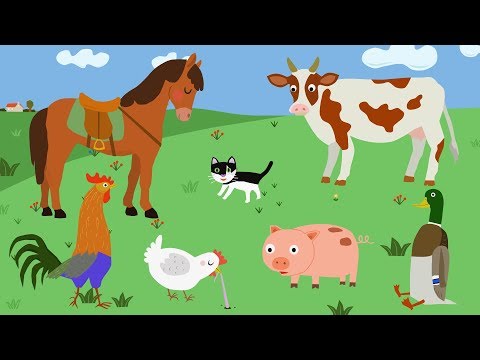 Домашние Животные На Ферме. Уроки От Сороки - Farm Animals