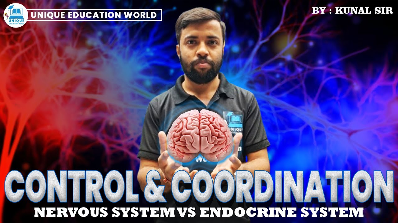 CONTROL & COORDINATION | Nervous System vs Endocrine System | Class 10 Biology | Easy Explanation