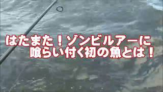 泳がせのような釣りに挑戦(47話目)