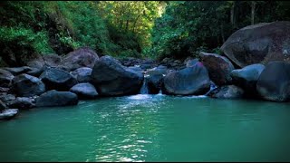 Beautiful River Waterfall Forest With Nature Sounds Waterfall For Relaxing  Deep Sleep  Meditation