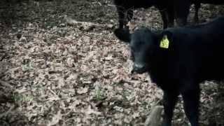 Bourbon FFA 2013